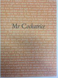 Mr Cockatrice